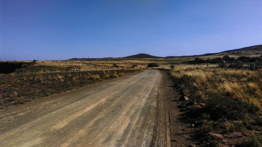 The road leading to the farm full of sheep grazing in the distance, South Africa. Mountains. Dirt. Bushes