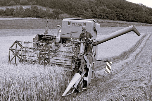 Mein Vater Otto Feldmann (hier auf dem Foto) und Anton Baust fuhren den im Dorf 1968 in Gemeinschaft neu angeschafften selbstfahrenden CLAAS Mähdrescher