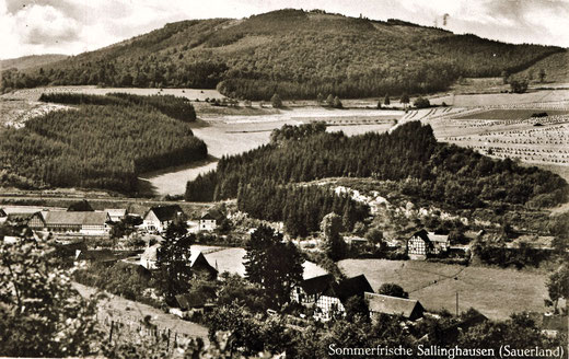 Sallinghausen um 1920 mit Blick auf den Henneberg, davor der Mühlenberg und Wohnhaus Schulte gnt. Eiken (rechts). Im Vordergrund Nurks Hof (Feldmann)