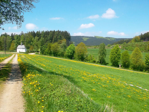 Frühjahr im Sauerland (C) Martin Steilmann