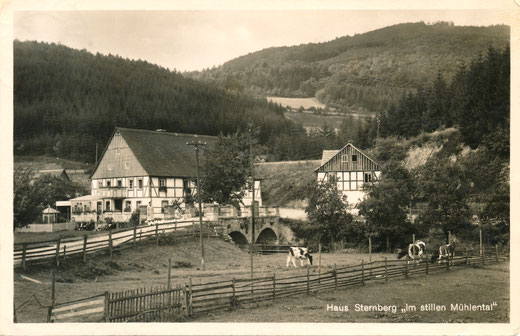 Postkarte um 1930: Privatpension Sternberg