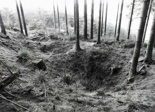 Ein Pingenfeld in einem Waldstück bei Sundern wurde verursacht durch den Einsturz der unterirdischen Stollen bzw. Schächte