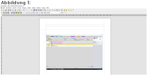 abasoft EVA Praxissoftware Arztsoftware Bildschirmabdruck aus der Fallakte