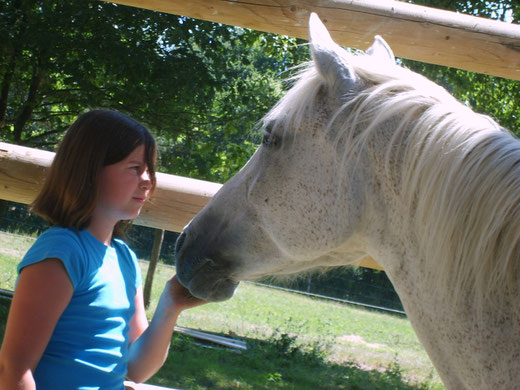 Auprès du cheval, l'enfant peut expérimenter d'autres façons d'entrer en relation. Ce moment partagé avec le cheval participe à la prévention de la délinquance.