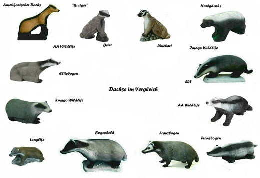 3D Ziel Dachs