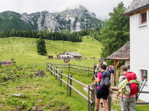 Kühroint-Alm