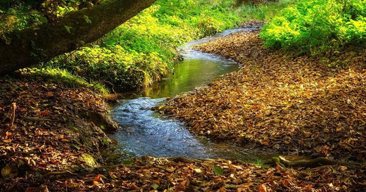 Wasseraufbereitung, Enthärtungsanlagen und Entkalkung von Kern Wassertechnik in Mömbris / Augsburgs LIFE-Projekt "Stadt-Wald-Bäche" erhält EU-Förderzusage