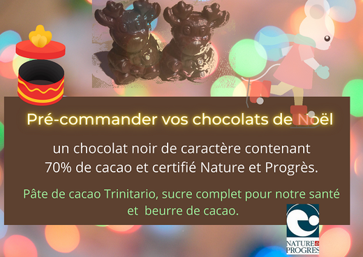 prè-commander les chocolats de noël, moulages tablettes certifiés nature et progrès