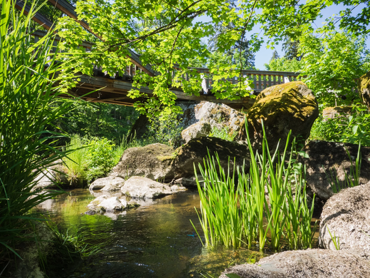Brücke und Bach im Höllental