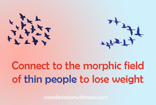 Connect to the morphic field of thin people if you want to lose weight.