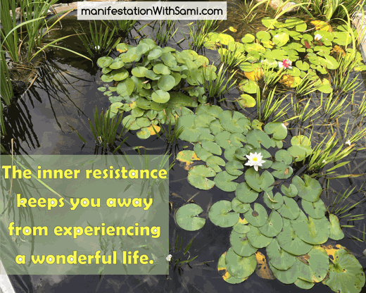 manifestationwithsami-the-law-of-attraction-deos-not-work-for-you-always-inner-resistance-wonderful-life