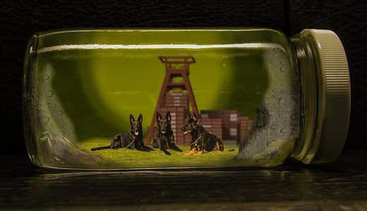 Dogs in a bottle