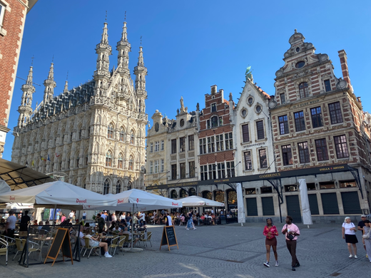 il centro storico di Lovanio con la cattedrale gotica sullo sfondo e le case tipiche del Belgio