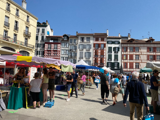 piazza del mercato di Bayonne, con bancarelle, tanta gente e case tipiche basche sullo sfondo