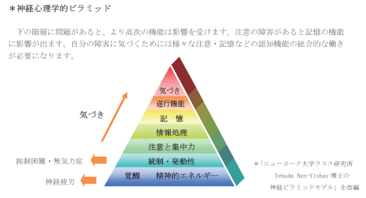神経心理学的ピラミッド
