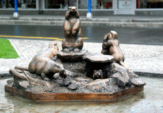 11. August 2017 - Murmeltiere haben einen Brunnen erobert (Engelberg)