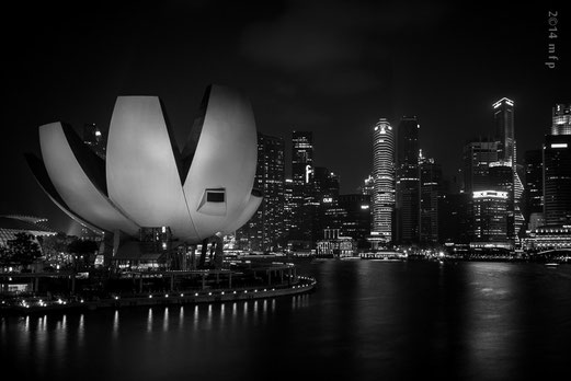 Singapore - Museo delle Arti e delle Scienze
