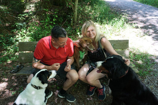 Entspannter Hundespaziergang im Wald mit Aebi’s Hund & Hausbetreuung Zürich