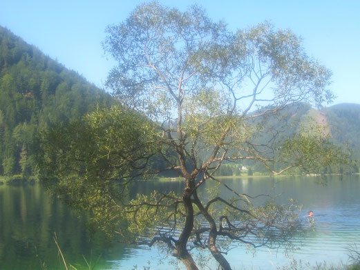 Erlaufsee