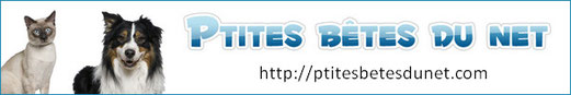 Ptites Bêtes du Net