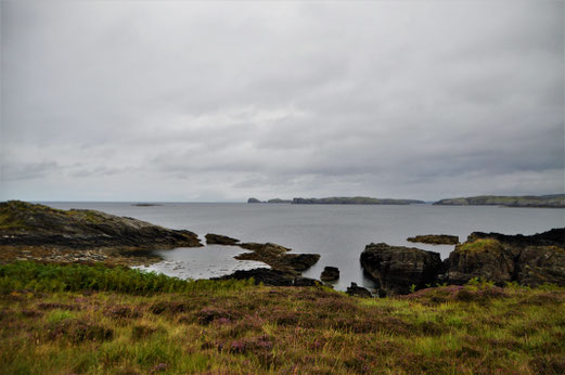 Talmine road trip avec son chien en Ecosse