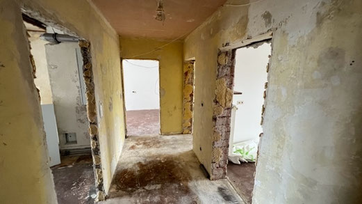 Umbau-Altbau