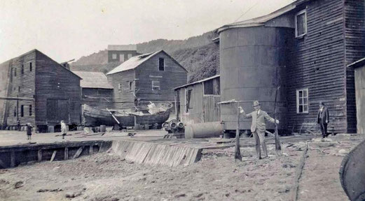 Foto Ballenera en Sector San Carlos. (Libro Diagnóstico Cultural Región de Los Ríos)