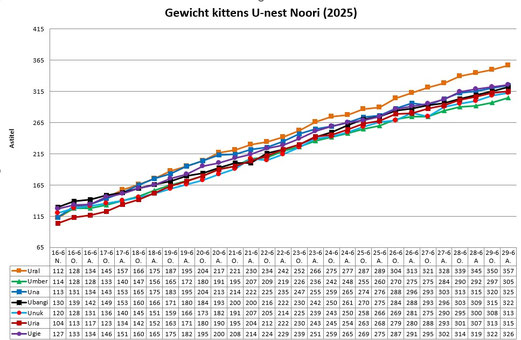 Gewichtsverloop U-nest - 1e 14 dagen