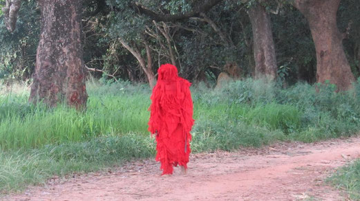 Il canguran che protegge i bambini del fanado