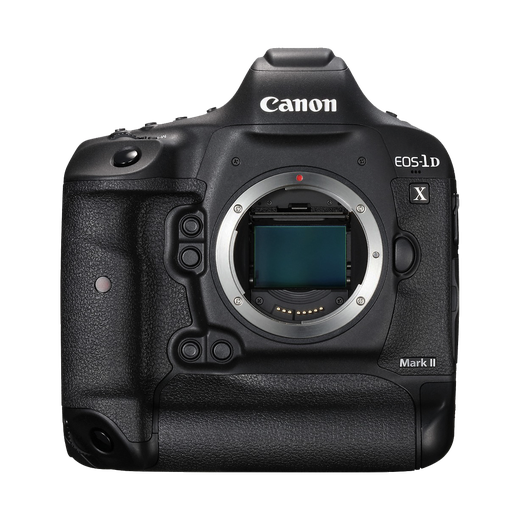 Canon EOS-1D X Mark II DSLR. 4K Video, 20.2 Megapixel Full-Frame CMOS Sensor - Brand New! - Image Art God & Love Inc. Copyrights © 2017