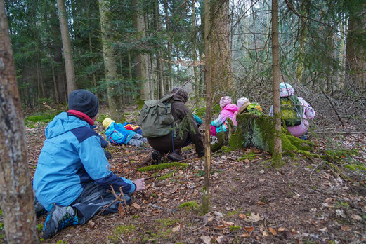 Lautlos wie die Luchse durch den Wald schleichen