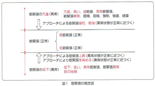 「筋緊張に挑む」より