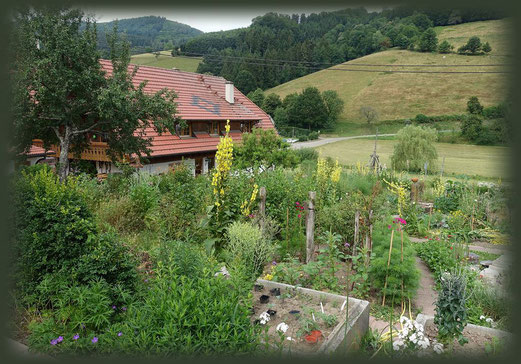 Blick von oberhalb auf den Gemüsegarten, dem Herz des Bauerngartens.