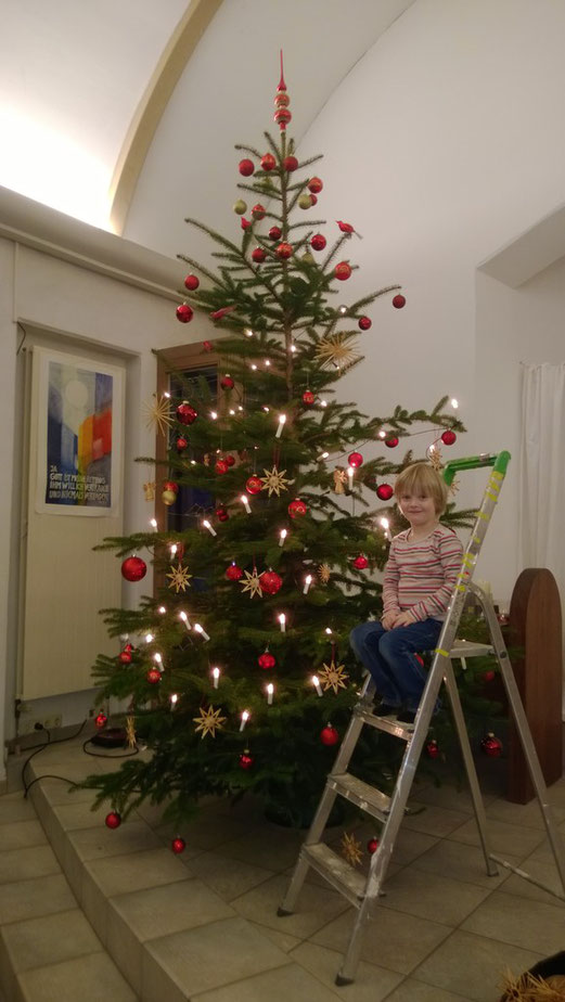 Der Stami-Weihnachtsbaum 2013 - Vor dem Umsturz noch mit Spitze