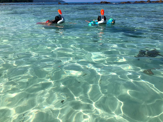 Family snorkeling a Mahé, Seychelles