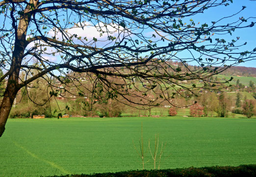 05. April 2023 - Fast schon Frühling