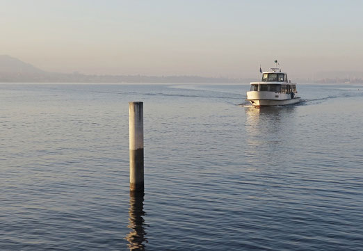 Zürichsee, Schiff