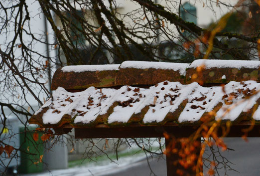 09. Januar 2019 - Warten auf den grossen Schnee