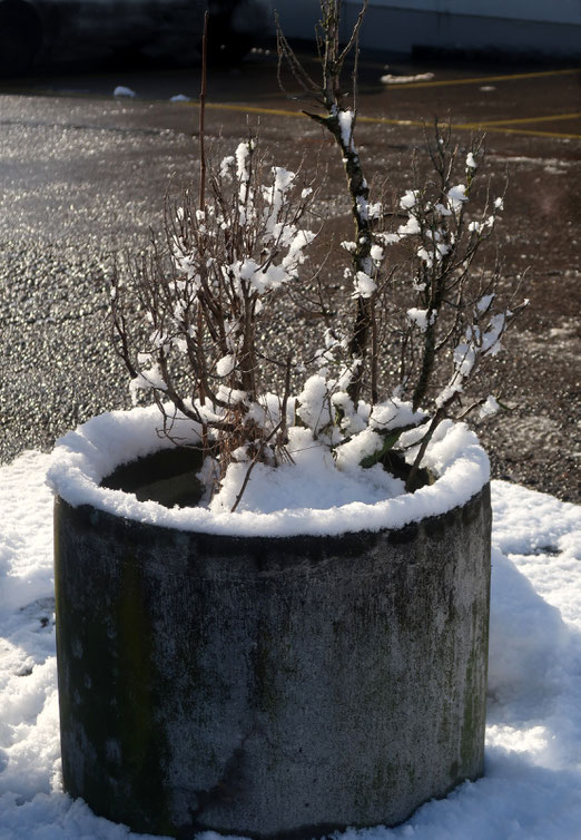 05. Februar 2019 - Ausgesetzt