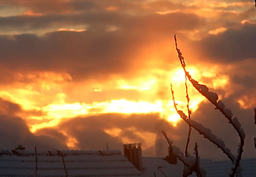 03. Dezember 2021 - Sehnsuchtsort Himmel - wenn da nur der Tod nicht wäre