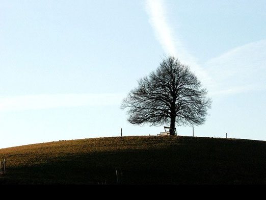 29. Januar 2012 - Stolz und einsam