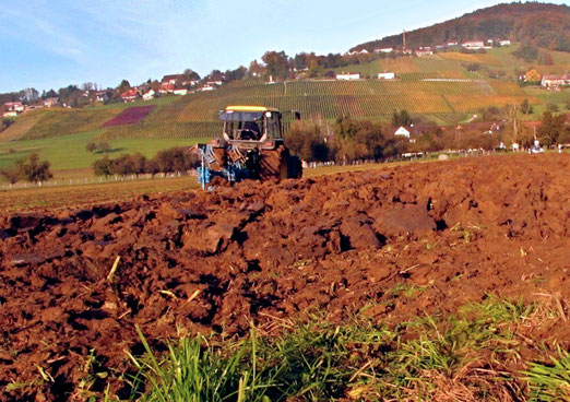 02. November 2014 - "Wo der Pflug hingeht, geht auch der Zehnte hin" (Sprichwort)  