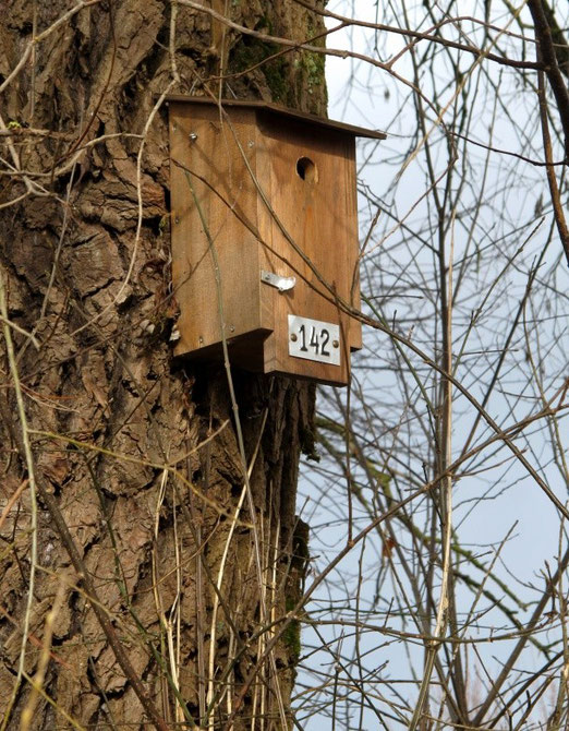 31. Januar 2014 - Possemgrabemweg 142 - im Augenblick unbewohnt. Ob  Vögel die Hausnummer auch lesen können ?