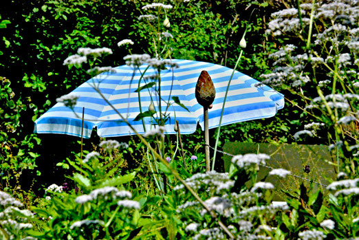 13. Juni 2025 - Der Sommer ist da!