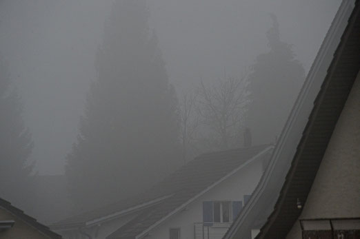 14. Novermber 2014 - Erster Blick aus dem Fenster: Grau in Grau