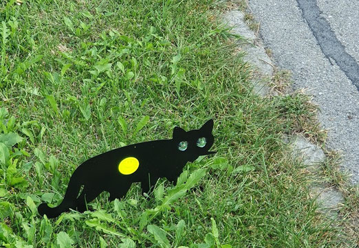  20. September 2020 - Achtung Katze!