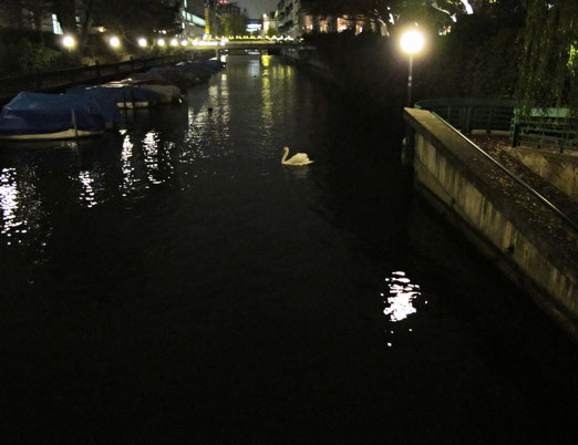 07. Spazierfahrt in der Nacht