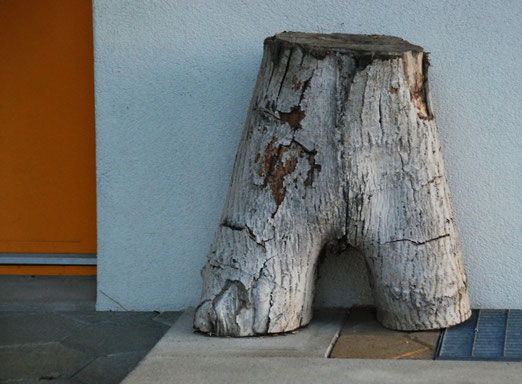 05.Dezember 2014 - Wer hat in diesem Haus die Hosen an ?
