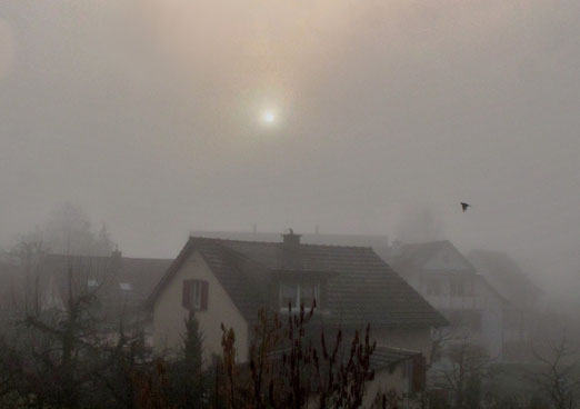 12. März 2013 - Im Nebel versunken