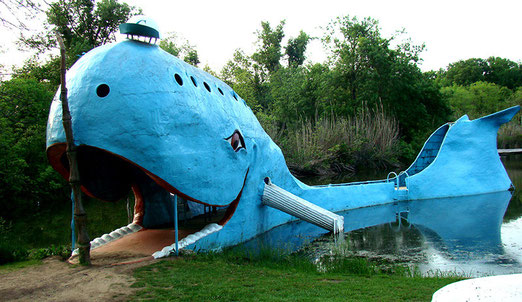 In der Nähe von Catoosa frönt an einem Weiher "Moby Dick" das Dasein.